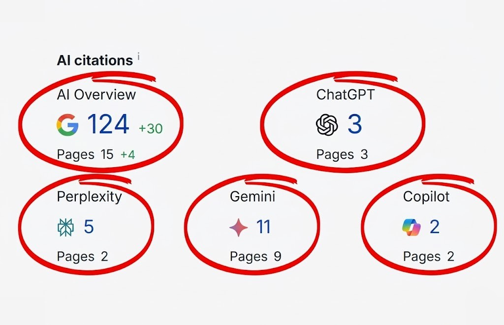 Dashboard showing over 100 new AI citations across Google AI Overview, ChatGPT, Gemini, and Perplexity achieved for a local business.